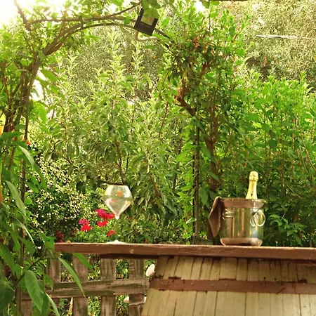 Apartament Gisa Domus De Maria